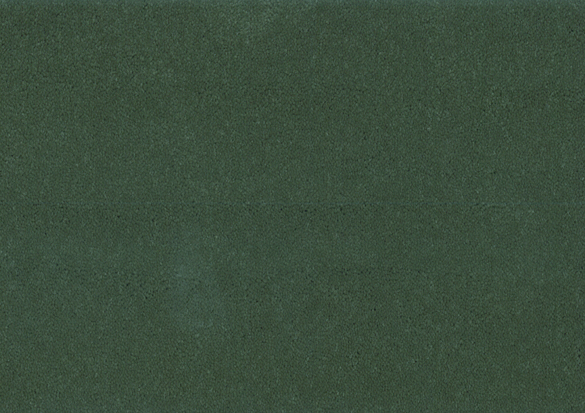 Bonaparte Montana tapijt I kleur 423 Groen